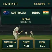 Infinity Casino - Cricket Sports Betting